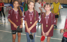 tenis stołowy to nasza duma (6)