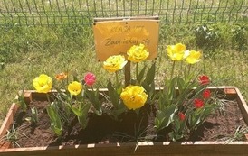 Dobre słowo się opłaca - Nasze kwiaty wyrosły! (8)