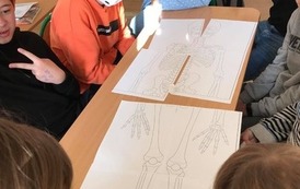 Biologiczne projekty (11)