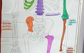 Biologiczne projekty (10)