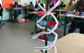 Biologiczne projekty (9)
