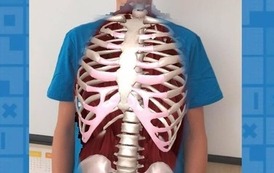 Biologiczna e-koszulka (7)