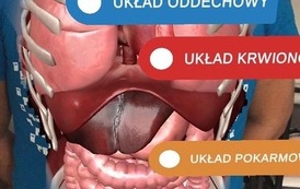 Biologiczna e-koszulka (3)