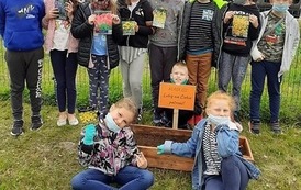 2 października - Międzynarodowy Dzień bez Przemocy (2)