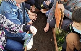 2 października - Międzynarodowy Dzień bez Przemocy (1)