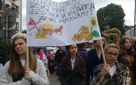VI Dzień Osadnika - byliśmy tam.. (3)