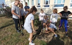 Posprzątaliśmy Świat - zasadziliśmy drzewo (3)