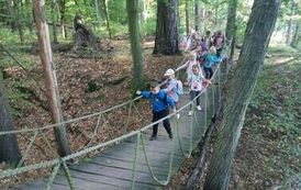 Jesienna wycieczka przedszkolak&oacute;w do lasu 2