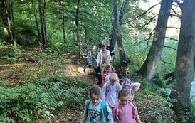 Jesienna wycieczka przedszkolak&oacute;w do lasu 4