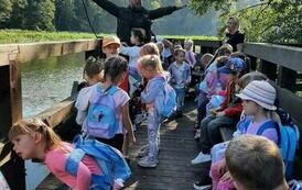Jesienna wycieczka przedszkolak&oacute;w do lasu 5