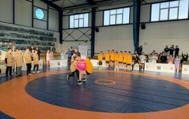 akademia zapas&oacute;w (2)