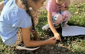 Klasa w terenie - projekt w klasie 1 (4)