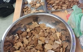 Magia pierniczk&oacute;w w klasach 4 i 5! (8)