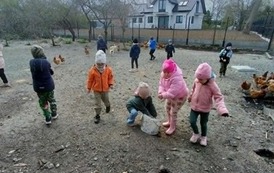 Z wizytą w gospodarstwie rolnym 1