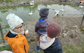 Z wizytą w gospodarstwie rolnym 2