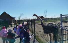 Malinki na Farmie Jantar Mini Zoo 3