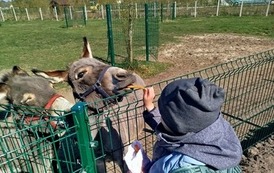 Malinki na Farmie Jantar Mini Zoo 4