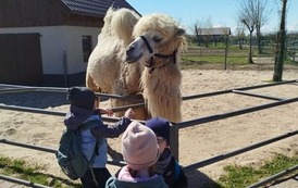 Malinki na Farmie Jantar Mini Zoo 5