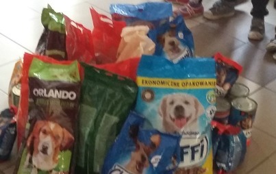 Zdjęcie do POMAGAMY ZWIERZĘTOM PRZETRWAĆ ZIMĘ